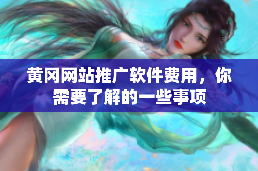 黄冈网站推广软件费用，你需要了解的一些事项