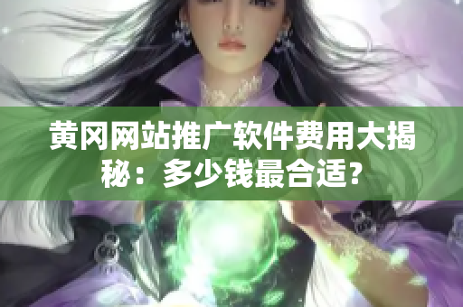 黄冈网站推广软件费用大揭秘：多少钱最合适？