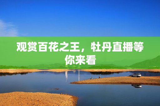 观赏百花之王，牡丹直播等你来看