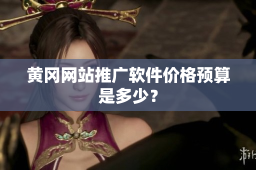 黄冈网站推广软件价格预算是多少？