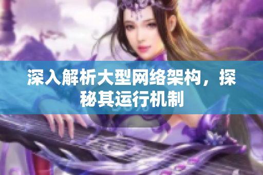 深入解析大型网络架构，探秘其运行机制