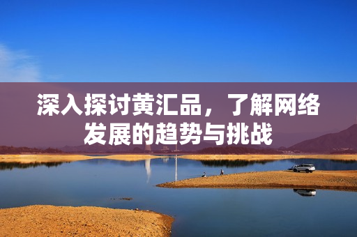 深入探讨黄汇品，了解网络发展的趋势与挑战