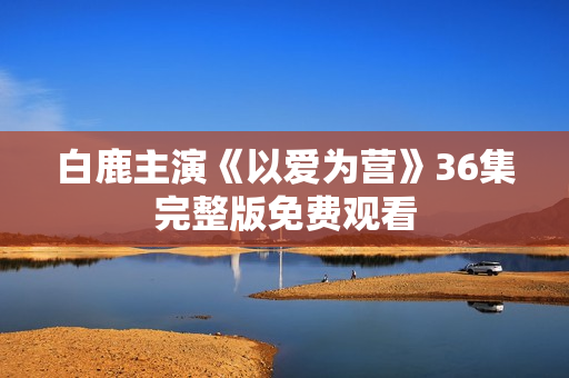 白鹿主演《以爱为营》36集完整版免费观看