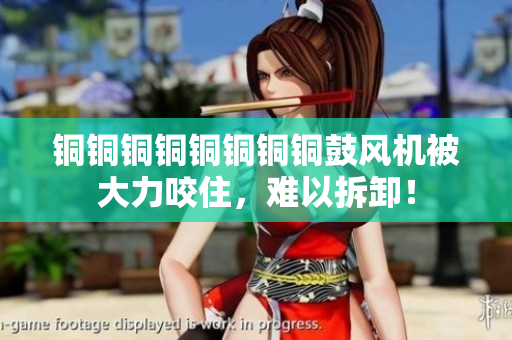 铜铜铜铜铜铜铜铜鼓风机被大力咬住，难以拆卸！