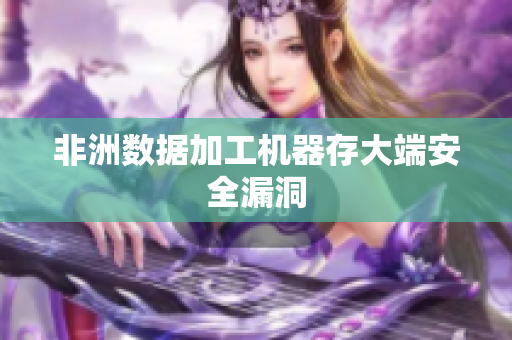 非洲数据加工机器存大端安全漏洞