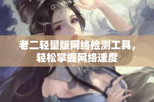 老二轻量版网络检测工具，轻松掌握网络速度