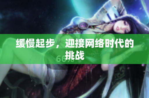 缓慢起步，迎接网络时代的挑战