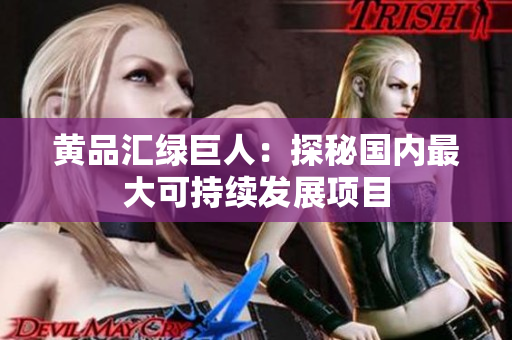 黄品汇绿巨人：探秘国内最大可持续发展项目