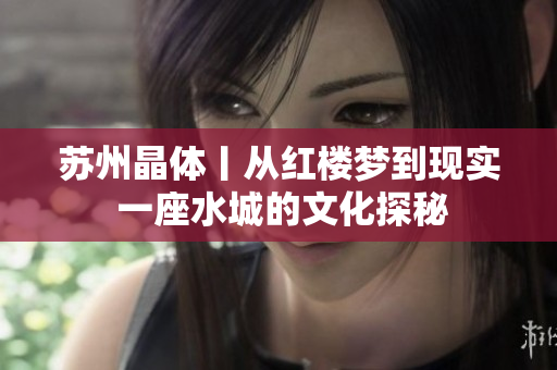 苏州晶体丨从红楼梦到现实 一座水城的文化探秘
