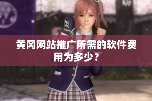 黄冈网站推广所需的软件费用为多少？