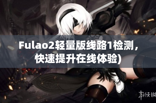 Fulao2轻量版线路1检测，快速提升在线体验)