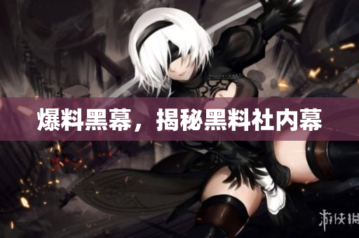 爆料黑幕，揭秘黑料社内幕