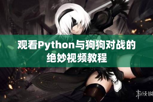 观看Python与狗狗对战的绝妙视频教程