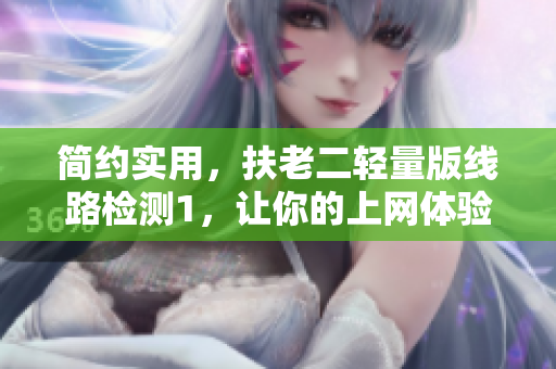 简约实用，扶老二轻量版线路检测1，让你的上网体验更稳定