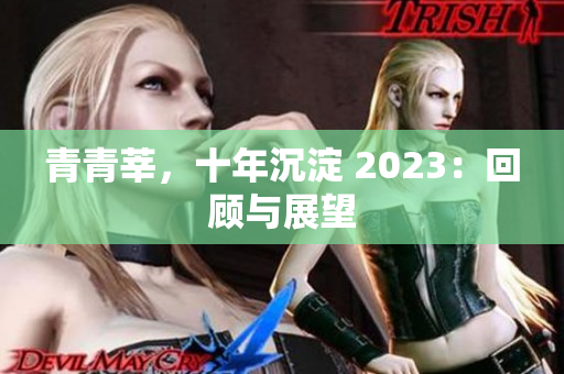 青青莘，十年沉淀 2023：回顾与展望