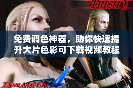 免费调色神器，助你快速提升大片色彩可下载视频教程