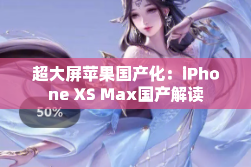 超大屏苹果国产化：iPhone XS Max国产解读