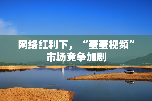 网络红利下，“羞羞视频”市场竞争加剧