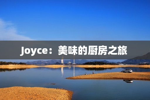 Joyce：美味的厨房之旅