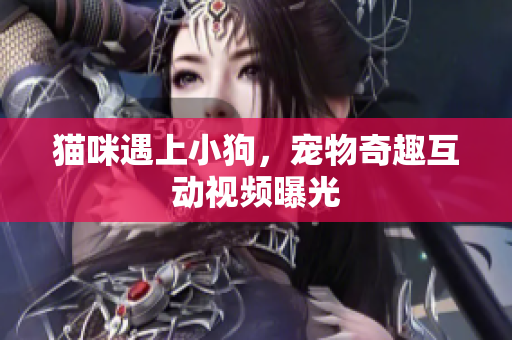 猫咪遇上小狗，宠物奇趣互动视频曝光