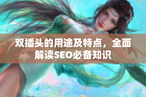 双插头的用途及特点，全面解读SEO必备知识