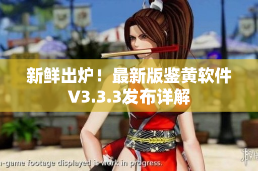 新鲜出炉！最新版鉴黄软件V3.3.3发布详解