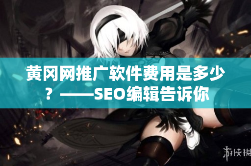 黄冈网推广软件费用是多少？——SEO编辑告诉你