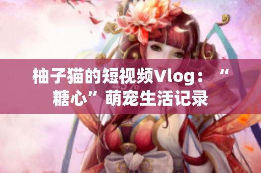 柚子猫的短视频Vlog：“糖心”萌宠生活记录