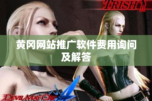 黄冈网站推广软件费用询问及解答