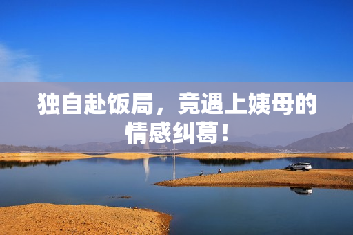 独自赴饭局，竟遇上姨母的情感纠葛！