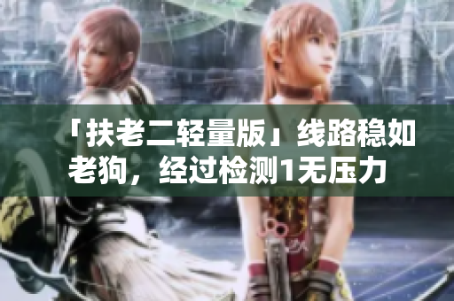 「扶老二轻量版」线路稳如老狗，经过检测1无压力