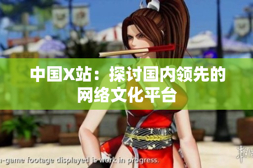 中国X站：探讨国内领先的网络文化平台