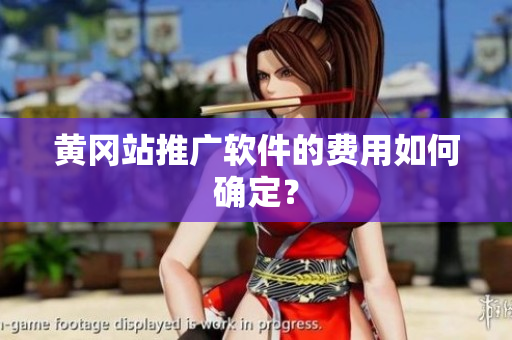 黄冈站推广软件的费用如何确定？