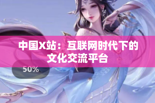中国X站：互联网时代下的文化交流平台