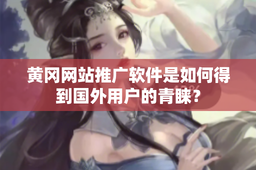 黄冈网站推广软件是如何得到国外用户的青睐？