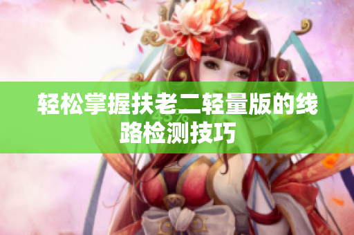 轻松掌握扶老二轻量版的线路检测技巧