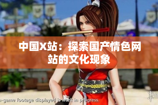 中国X站：探索国产情色网站的文化现象