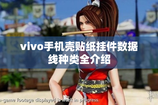 vivo手机壳贴纸挂件数据线种类全介绍