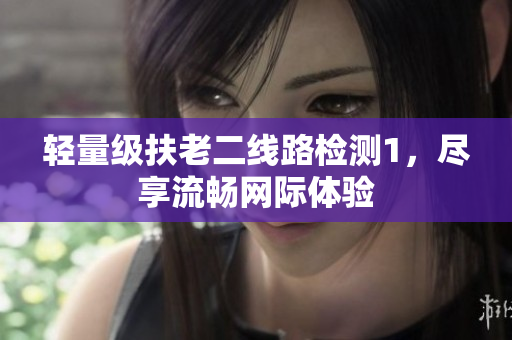 轻量级扶老二线路检测1，尽享流畅网际体验