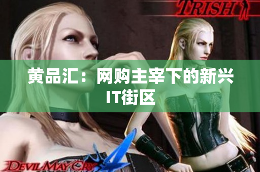 黄品汇：网购主宰下的新兴IT街区