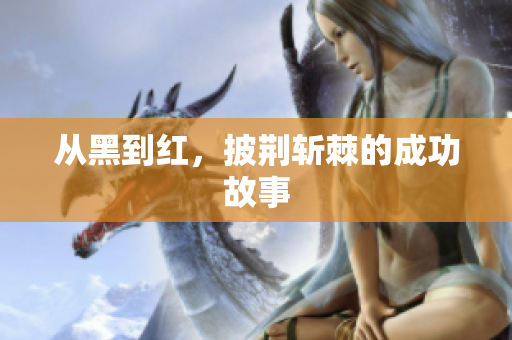 从黑到红，披荆斩棘的成功故事