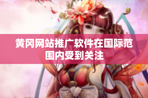 黄冈网站推广软件在国际范围内受到关注