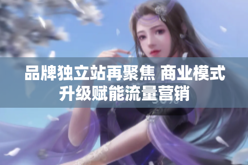 品牌独立站再聚焦 商业模式升级赋能流量营销