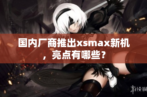 国内厂商推出xsmax新机，亮点有哪些？