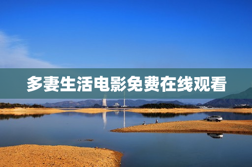 多妻生活电影免费在线观看