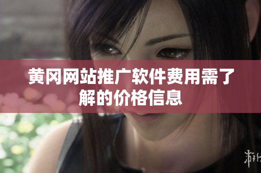 黄冈网站推广软件费用需了解的价格信息