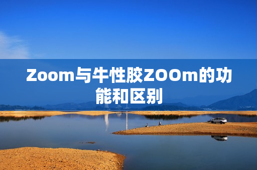 Zoom与牛性胶ZOOm的功能和区别
