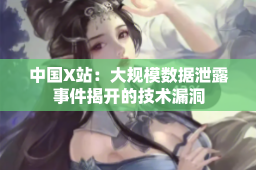 中国X站：大规模数据泄露事件揭开的技术漏洞