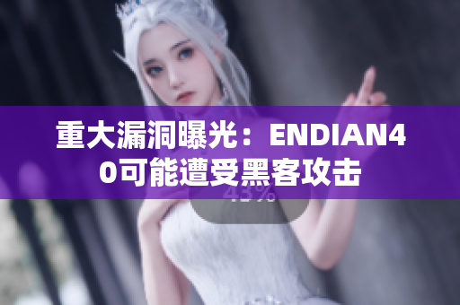 重大漏洞曝光：ENDIAN40可能遭受黑客攻击