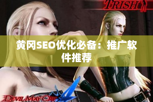 黄冈SEO优化必备：推广软件推荐